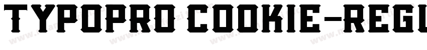 TypoPRO Cookie-Regul字体转换